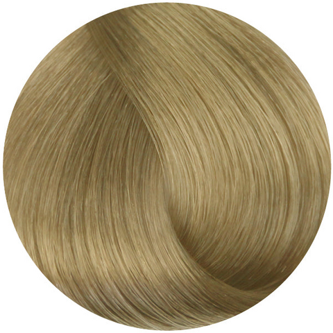 Стойкая профессиональная краска для волос - Goldwell Topchic Hair Color Coloration 10N (Светлый блондин экстра)