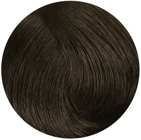 Стойкая профессиональная краска для волос - Goldwell Topchic Hair Color Coloration 8SB (Серебристый блондин)