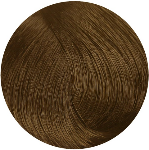 Стойкая профессиональная краска для волос - Goldwell Topchic Hair Color Coloration 8B (Морской песок)