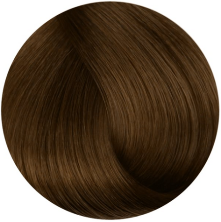 Стойкая профессиональная краска для волос - Goldwell Topchic Hair Color Coloration 9GB (Песочный светло-русый экстра)
