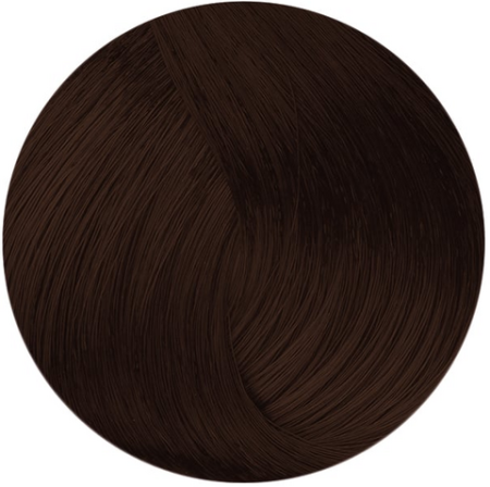 Стойкая профессиональная краска для волос - Goldwell Topchic Hair Color Coloration 6KS (Медное серебро)