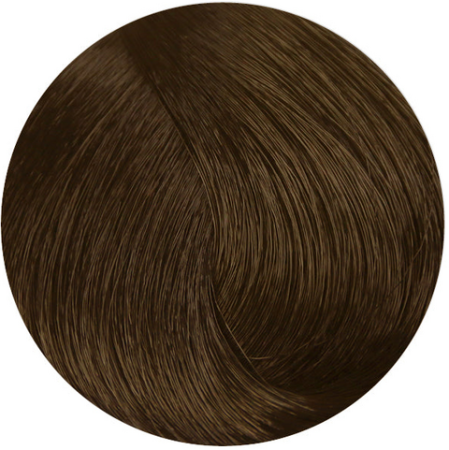 Стойкая профессиональная краска для волос - Goldwell Topchic Hair Color Coloration 8GB (Песочный светло-русый)