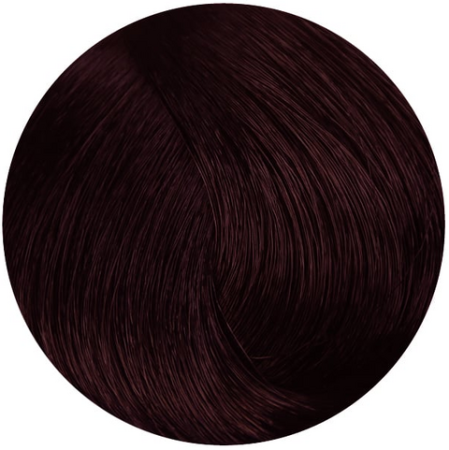 Стойкая профессиональная краска для волос - Goldwell Topchic Hair Color Coloration 5VV MAX (Экстра сливовый)