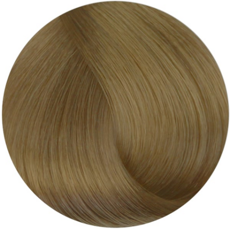 Стойкая профессиональная краска для волос - Goldwell Topchic Hair Color Coloration 9NBS (Очень светлый блонд с бежево-серебристым сиянием)