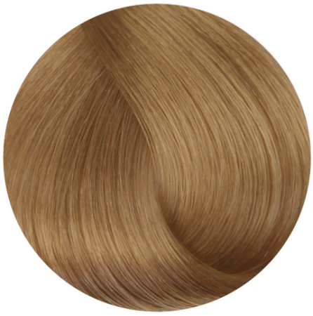 Стойкая профессиональная краска для волос - Goldwell Topchic Hair Color Coloration 9G (Светло-русый золотистый)