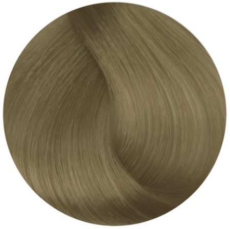 Стойкая профессиональная краска для волос - Goldwell Topchic Hair Color Coloration 11PB (перламутрово-бежевый блонд)