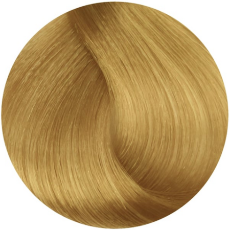 Стойкая профессиональная краска для волос - Goldwell Topchic Hair Color Coloration 11G (Светлый золотистый блондин)