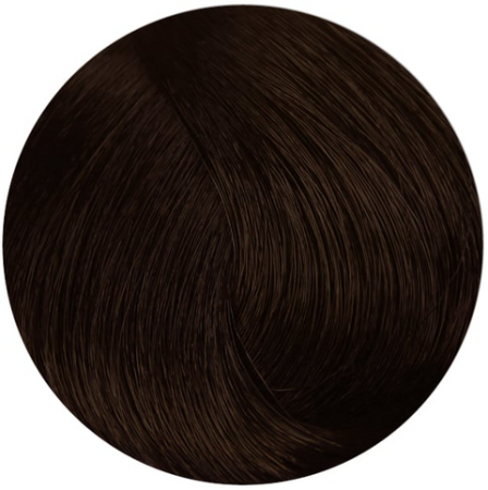Стойкая профессиональная краска для волос - Goldwell Topchic Hair Color Coloration 6B (Коричневый золотистый)