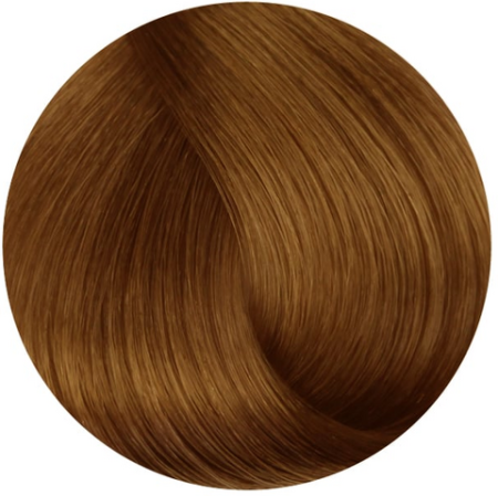 Стойкая профессиональная краска для волос - Goldwell Topchic Hair Color Coloration 9GN (Турмалин золотистый натуральный)