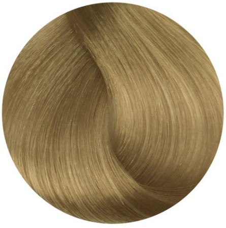 Стойкая профессиональная краска для волос - Goldwell Topchic Hair Color Coloration 9A (Очень светло-русый пепельный)